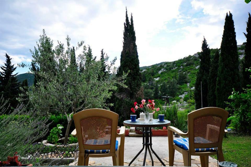 Apartments Franic Ploce  Buitenkant foto
